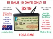 12V 100Ah LiFePO4 Deep Cycle Lithium ion Phosphate Battery Top Quality