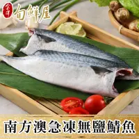 在飛比找momo購物網優惠-【金澤旬鮮屋】南方澳急凍無鹽鯖魚20片(110g/片)