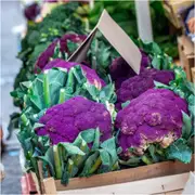 Cauliflower - Purple Sicily seeds