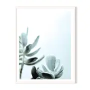 Cool Nature Framed Printed Wall Art - White