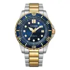 Citizen Automatic Water Resistance Classic Watch NJ017482L - Multicolour