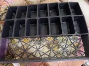 12 Sheets Fits a 20X10 Flat 14 Cells 4 1/2X 2 1/2 X 2 Deep Great Seeding Tray