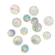 Ore Snow Flower Resin Round Gem Flatback Rhinestone Scrapbook Wedding Ornament