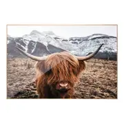Highland Cow Art Print Highland Cattle Wall Art Home Framed