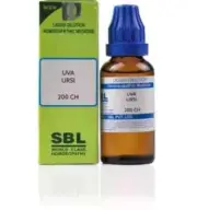 SBL Uva Ursi Dilution 200ch