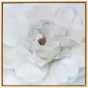 LVD Framed Canvas/Resin Neutral Peony Wall Hanging Home Decor Display 80cm