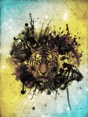Abstract Tiger wild animal Quality home decor Canvas Painting Wall Art Prints