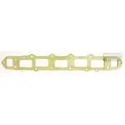 Platinum Extractor Gasket - HSM44