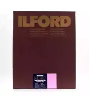 Ilford Multigrade RC Warmtone Glossy 8x10" (20.3x25.4cm) - 100 sheets
