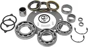 USA Standard Gear NV4500 M/T Input Shaft GM '95&UP 22 Tooth, W/Bearings & Seals