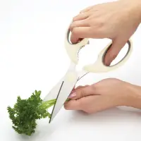 在飛比找momo購物網優惠-【KitchenCraft】磁吸料理剪刀(食物剪 多功能廚用