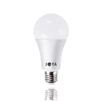 在飛比找momo購物網優惠-【JOYA LED】2入 台灣製造 13W LED燈泡 CN
