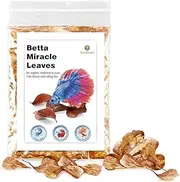 SunGrow 50 Mini Catappa Leaves, Best Way to Create Tropical Rainforest Environment for Betta and Gouramis, Beneficial Leaf Conditions Water