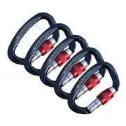 25KN Screw Locking Carabiner Karabiner Rock Climbing Tree Rigging Equipment - 5x
