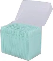 1100 Pcs Disposable Plastic Toothpicks Portable Practical with Clear Case