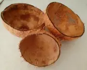 50% FREE 2COCONUT SHELL CHIPS ECO FRIENDLY 100% NATURAL Free Ship