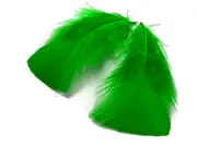 1 Pack - Kelly Green Turkey T-Base Plumage Feathers 0.50 Oz. Fly Tying Christmas