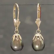 14kt Yellow Solid Gold Lever Back & Cup Black Cultured Pearl Dangle Earrings TPJ