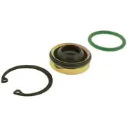 Jayair Seal Nd 10P08E Lip Type - CP5028