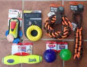Dog Toy Novarope Kong Squeezz Ball AirDog Playology Fire Biterz Lot Of 7 NEW