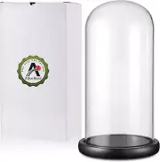 Glass Display Dome13" X 6" Cloche With Black Wood Base For Display Showcase New