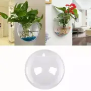 Hanging Wall Mounted Fish Bowl Betta Tank Aquarium Fish Bubble Plant Decors Best