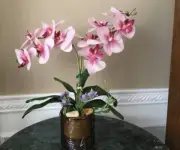 Decorative Planter Silk White Orchid Indiana Glass Orange Iridescent Harvest Gra