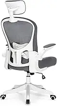 Gaming Chairs Computer Gaming Chairs Gaming Chair, Gaming Chairs for Adults, Reclining Gamer Chair Ergonomic Office Chair Computer Desk Chair Video Game Chair (SPW1220, Grey)