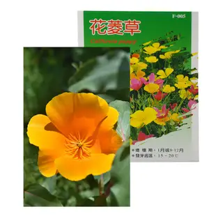 F005花菱草/花卉種子/台灣出貨/雷霆百貨