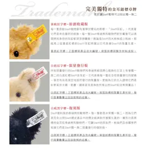 STEIFF 德國 金耳釦 泰迪熊 經典泰迪熊 Teddies for tomorrow Anton Teddy Bear 30cm 英國代購