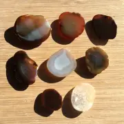 1LB Lot 8 Geode Rock Slices Mixed Polished Agate & Quartz Crystal End Cut Stones