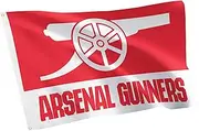 Desert Cactus Arsenal FC 100% Polyester Indoor Outdoor 3x5 feet Banner Gunners Football Soccer (Flag G)