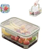 Outdoor Ice Preservation Box, Double Layer Portable Kitchen Refrigerator Storage Box, with Ice Pack & Handle for Outdoor Camping Saver Cooler for Fruits Veggies and Snacks