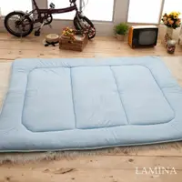 在飛比找momo購物網優惠-【LAMINA】防蹣抗菌日式床墊(單人加大)