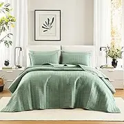 Comfort Spaces Queen Quilt-All Season Bedding, Seafoam Bedspread with Double Sided Stitching Design, Soft Summer Blanket Matching Shams Coverlet Kienna Collection (102"x118") 3 Piece