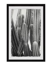 Marmont Hill Vintage Cactus