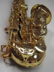 Advanced Alto Saxophone Great material and tone