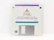America Online AOL 3.5” Floppy Disk Ver 1.1 Windows PC Original Installer 1993