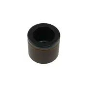 Disc Brake Caliper Piston Carlson 7894