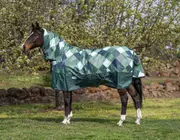 Caribu Alpine Combo Horse Rug 300g Forest Gem - 6.0FT / Forest Gem