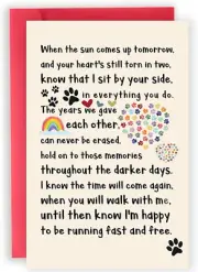 Pet Loss Sympathy Card for Dog Cat, Pet Memorial Gifts, Sympathy Gifts Loss of D
