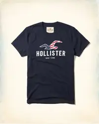 在飛比找Yahoo!奇摩拍賣優惠-Hollister Logo Graphic 藏青色 刺繡貼