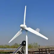 3000W Wind Turbine 48V Permanent Magnet Generator 3KW Horizontal Wind Generator with Hybrid MPPT Controller 3 Blades High Efficiency