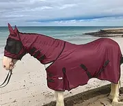 Majestic Ally Horse Fly Sheet with Neck Cover and Head Mask, Breathable UV and Bite Equine Protection, Adjustable Body Straps, Boarding or Turnout Accessory, Contoured Fit (Burgundy, 80 Inch)