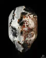 2.0" Black Zebra Agate Hand Carved Fairy Elf Alien Crystal Skull Companion