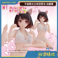 在飛比找蝦皮購物優惠-TAITO 不起眼女主角培育法 Fine 加藤惠 Cat r