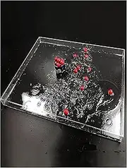 Acrylic Props Shooting Tray, Photography Acrylic Shallow Water Tank Water Splash Tray Storage Display Clear Multiple Sizes(40x40x20cm/15.7x15.7x7.8in)