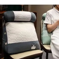 在飛比找蝦皮購物優惠-【熱銷】 日韓系冰涼膠立體三角枕恐龍沙發靠枕睡覺抱枕哈士奇椅
