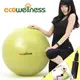 【ecowellness】加厚防爆26吋韻律球(贈送打氣筒)C016-001T-26瑜珈球65cm抗力球彈力球.健身球