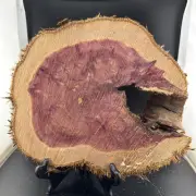 Red Cedar Wood Turning Blank Cookie Live Edge Base 10”X 9.5” X 1” #49